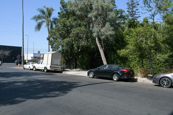 Enlarge photo 30