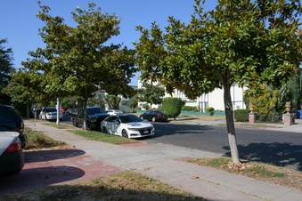 Enlarge photo 37