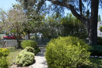 Enlarge photo 33