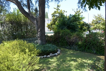 Enlarge photo 35
