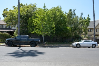 Enlarge photo 36