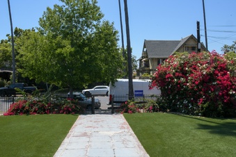 Enlarge photo 40