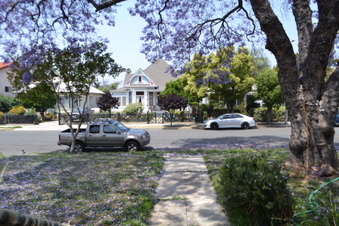 Enlarge photo 51