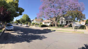 Enlarge photo 38