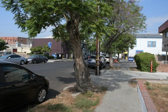 Enlarge photo 6