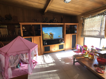 Enlarge photo 35