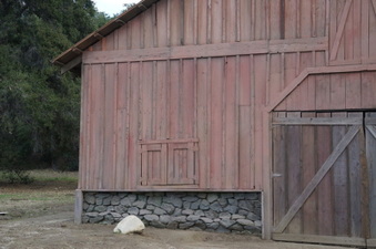 Enlarge photo 17