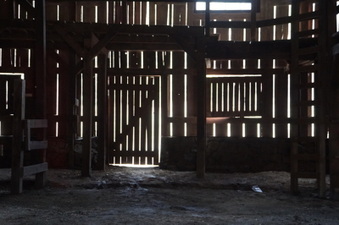 Enlarge photo 31