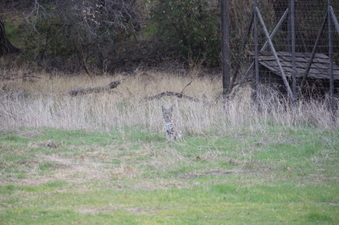 Enlarge photo 33
