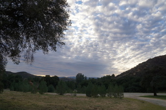Enlarge photo 48
