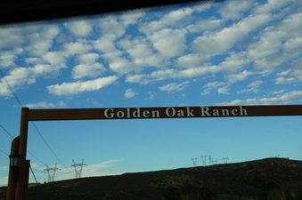 Enlarge photo 49