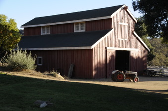 Enlarge photo 35