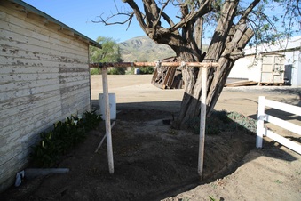 Enlarge photo 53
