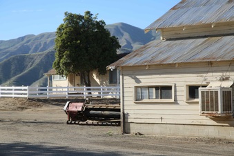 Enlarge photo 59