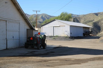Enlarge photo 63