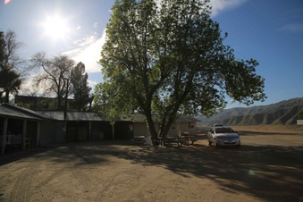 Enlarge photo 65