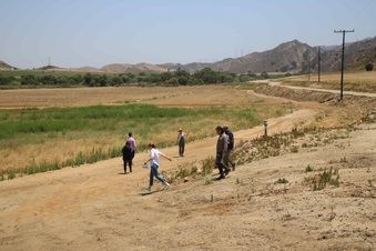 Enlarge photo 19