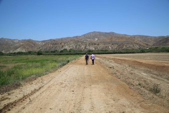 Enlarge photo 23