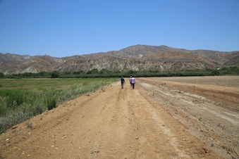 Enlarge photo 24