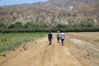 Enlarge photo 25