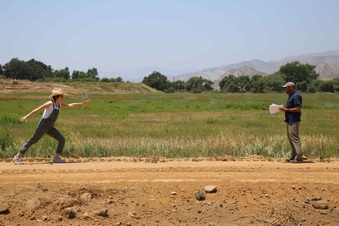 Enlarge photo 28