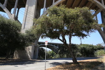 Enlarge photo 23