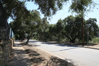 Enlarge photo 25