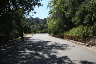 Enlarge photo 37