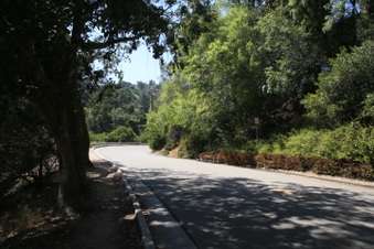 Enlarge photo 38