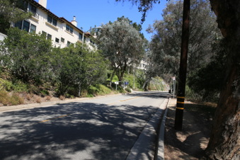 Enlarge photo 39