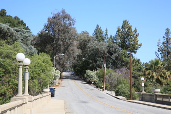 Enlarge photo 45