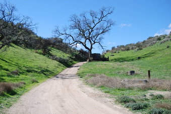 Enlarge photo 33