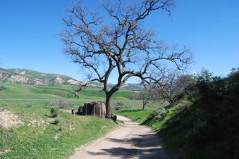 Enlarge photo 34