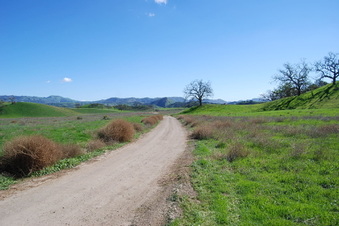 Enlarge photo 36