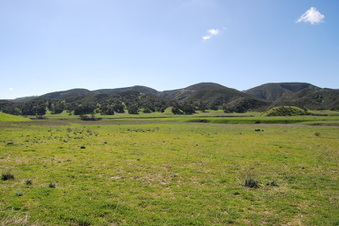 Enlarge photo 37