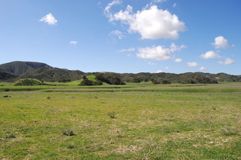Enlarge photo 38