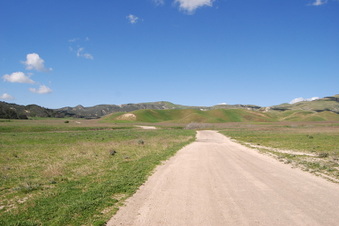 Enlarge photo 39