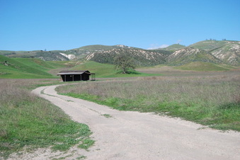 Enlarge photo 41
