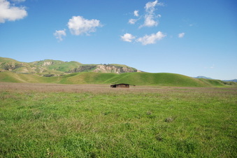 Enlarge photo 60
