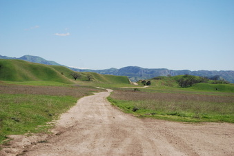 Enlarge photo 61