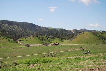 Enlarge photo 62