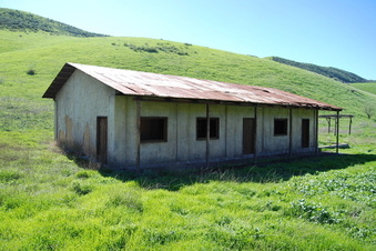 Enlarge photo 65