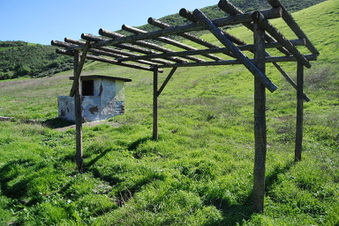 Enlarge photo 70