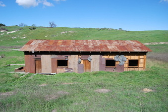 Enlarge photo 81