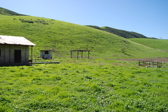 Enlarge photo 85