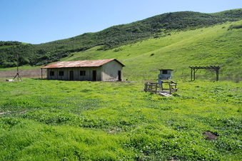 Enlarge photo 86