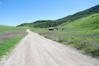 Enlarge photo 88