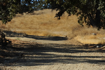 Enlarge photo 114