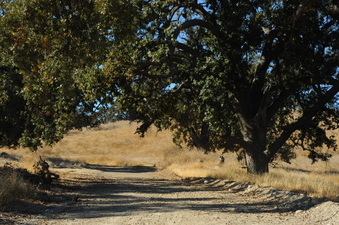 Enlarge photo 115