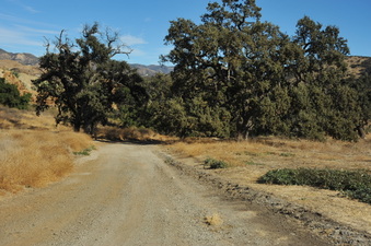 Enlarge photo 116